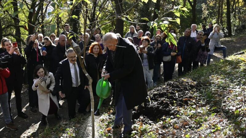 V Košiciach vzniká aleja osobnosti