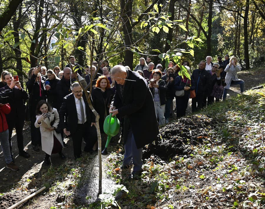 V Košiciach vzniká aleja osobnosti